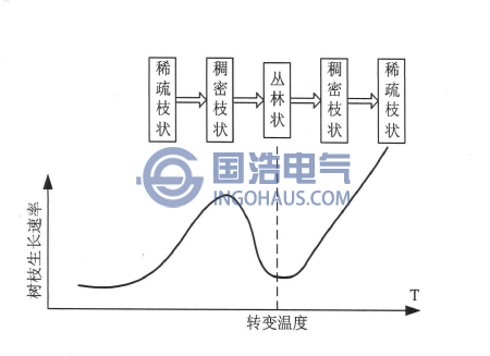 电树枝形状随电压的变化规律