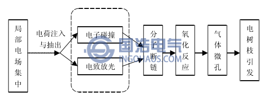 电树枝引发的基本过程