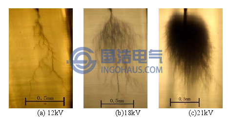 不同形态的电树枝